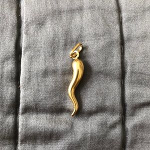 Gold Italian Horn Cornicello